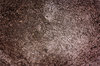 texture