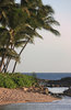 Paradise Cove