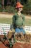 scarecrows