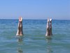 water fun