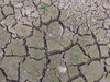 dry and cracking