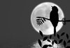Bird Silhouette on Branch 2