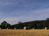 Agricultural art