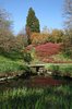 Spring parkland