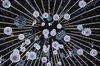 Christmas Light