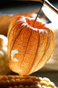 Dried Physalis
