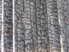 Burned down fence
