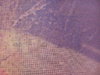 Raster texture