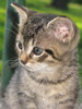 little and cute