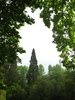 Natural frame