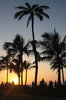 Luau