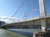 Erzsebet bridge