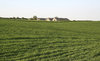 Sussex Farm