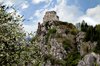 Medieval castle