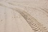 Sand tracks 3