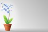 Flowers in Pot 4