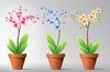 Flowers in Pot 6