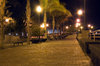 Night Shot