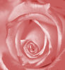 nostalgic pink