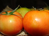 Tomatoes