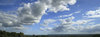 Surrey skies