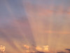 summer morning sunrise
