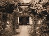 Entrance in sepia