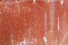 TEXTURE, RUST 1