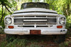 RESTORATION PROJECT