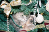 FUZZY IN THE TREE 1