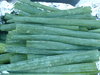 Leek