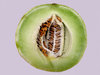 honeydew green