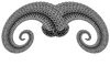 horns