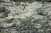 Block Wall