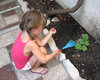 little gardener
