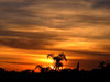 sunset skies