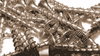 Stainless screws in sepia