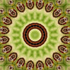 green melon mandala