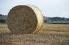 Harvested field
