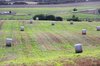 Harvested field
