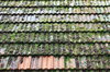 Tiled roof