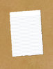 Torn Paper 10