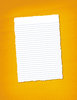Yellow Collage