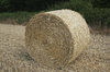 Hay roll