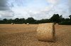 Hay rolls