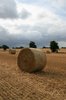 Hay rolls