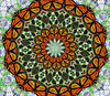 butterfly circle
