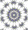 crystal starlight