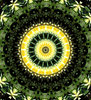 lilly pad gold