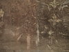 wall texture